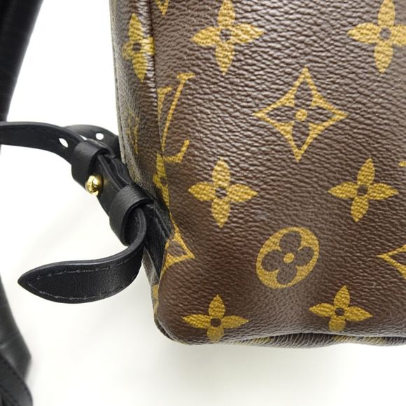 Louis Vuitton Monogram Palm Springs Backpack PM Brown Rucksack - Picture 7 of 8
